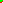Pestañeos pes-2486